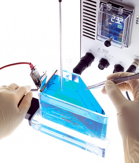 Hull Cell
